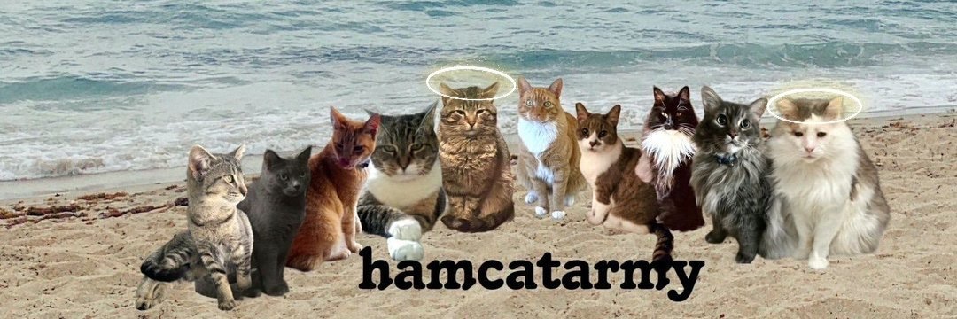 Kristin Lange 🏳️‍🌈 banner