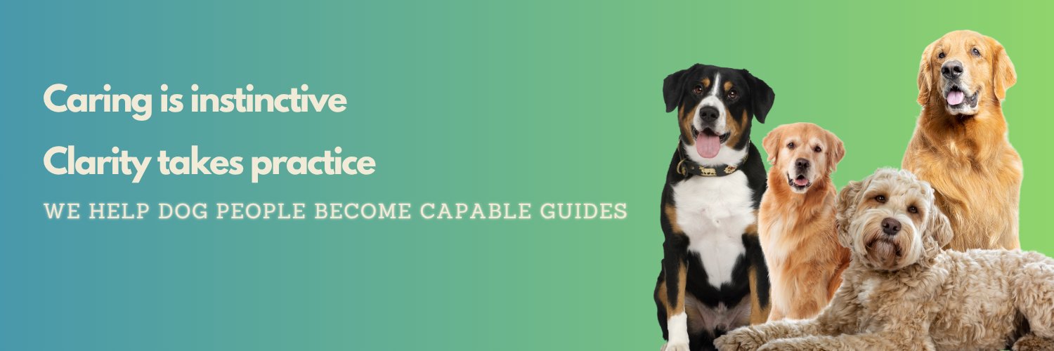 Dog Insight Lab | Love. Learn. Bond.'s banner