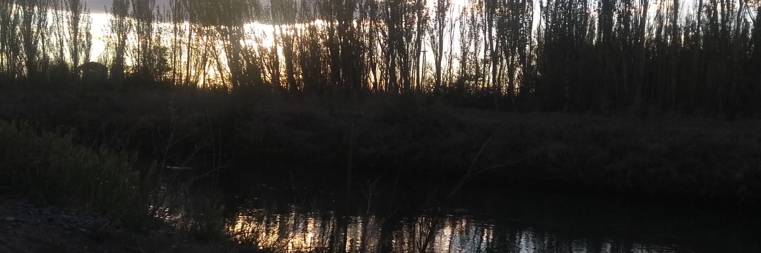 benchusandov's profile banner image