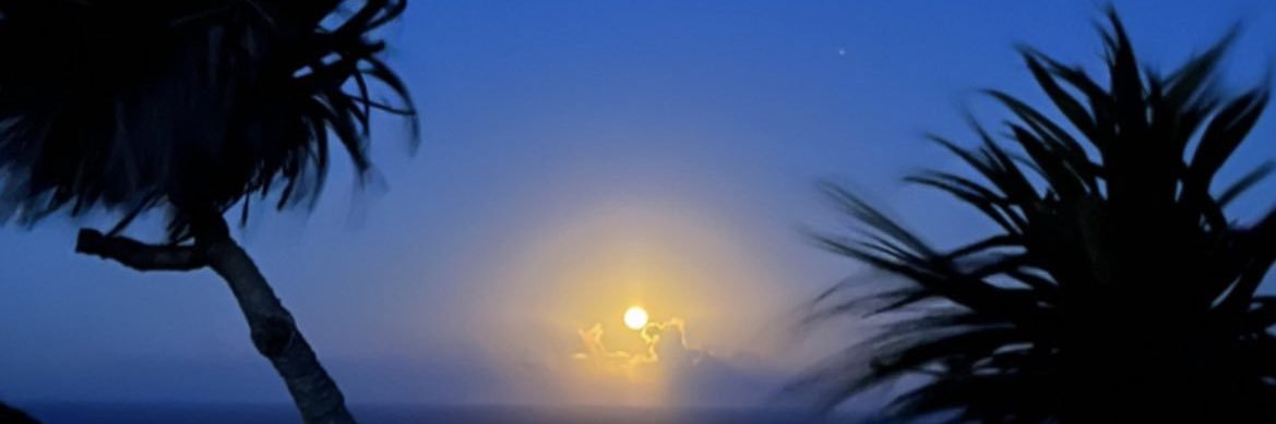 shizukaaa124's profile banner image