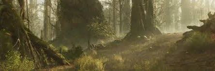 ste_hd14952's profile banner image