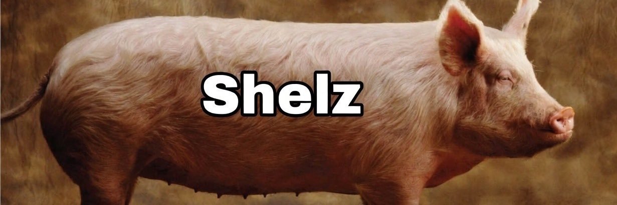 OfficialMike banner