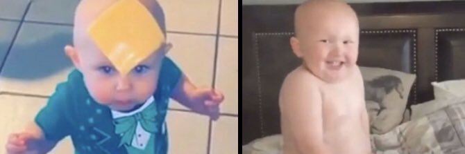 sam banner