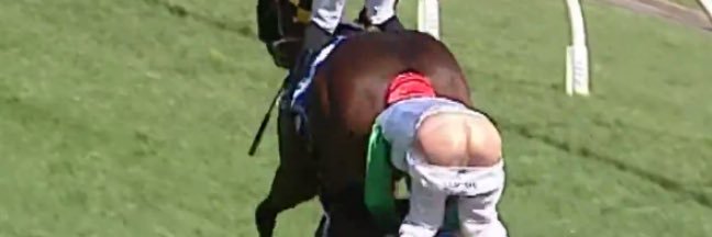 Horse Racing Memes's banner