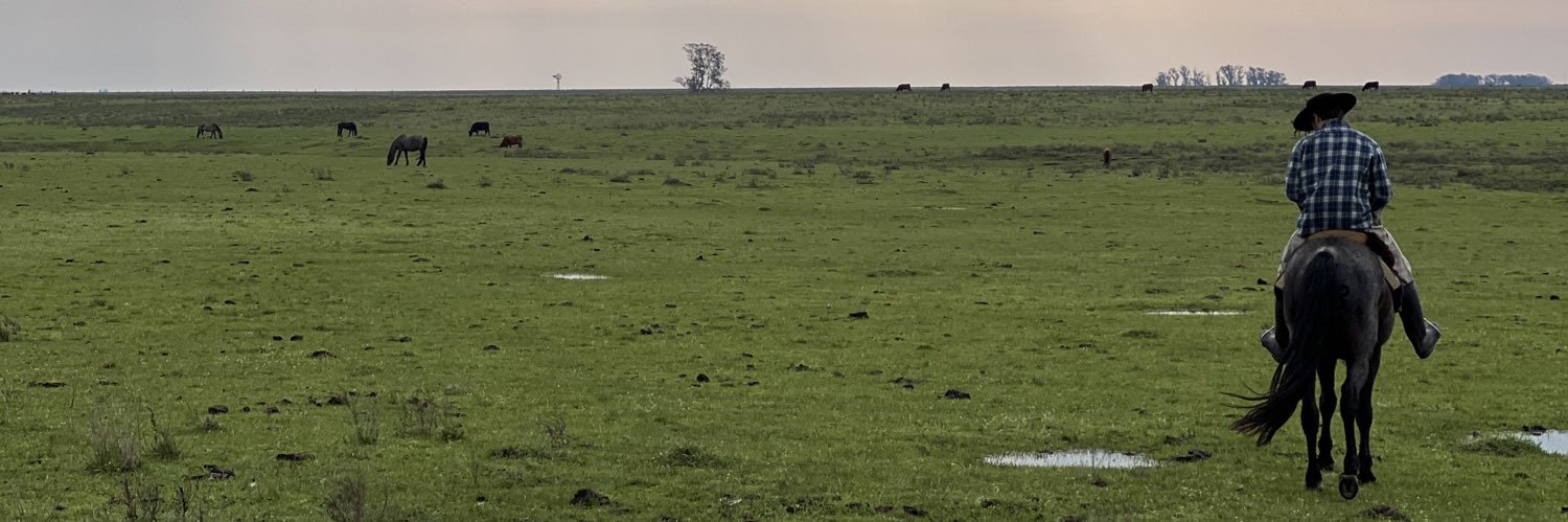 Juan I. Hourcade banner