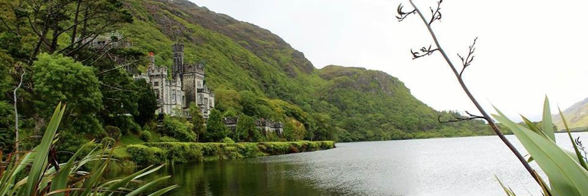 ellenmulhern24's profile banner image