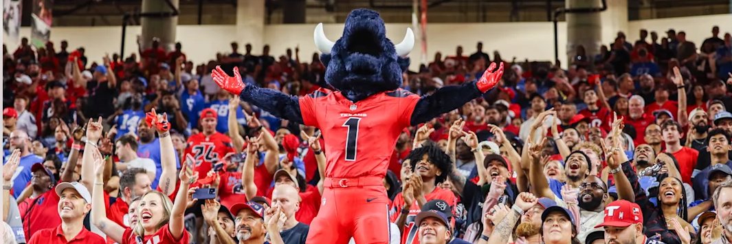 Texans Chronicle's banner
