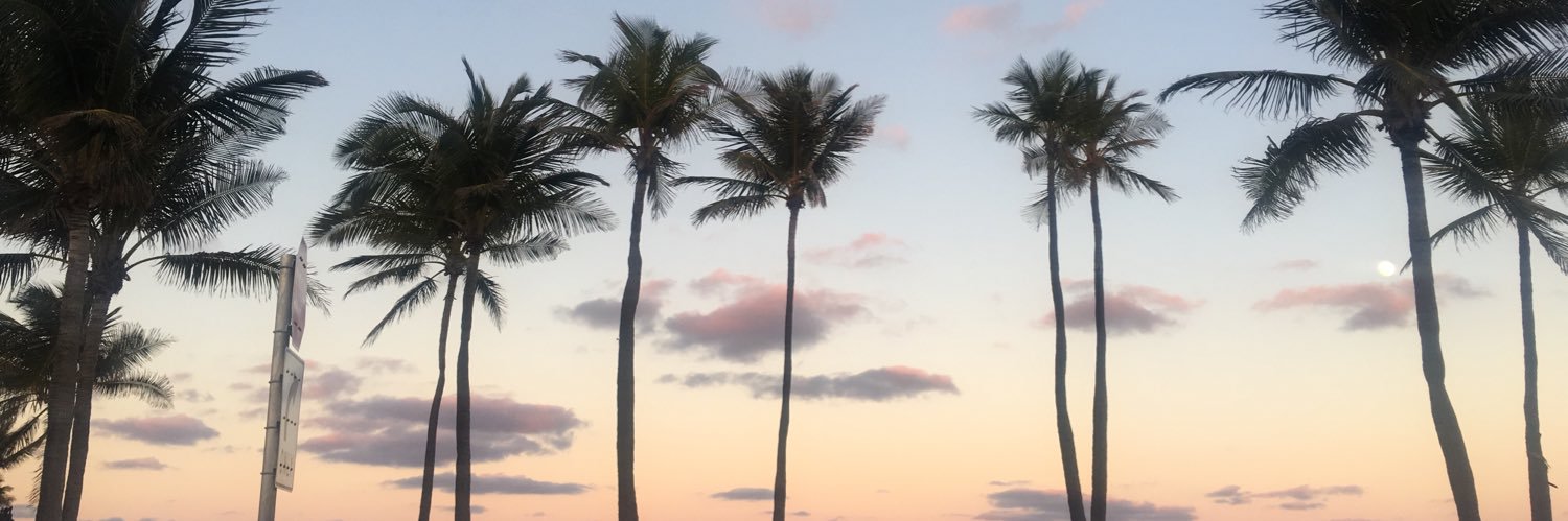 KatieRhode's profile banner image