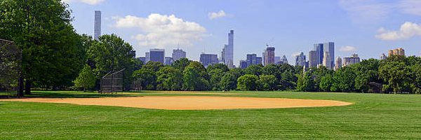 NeuroSoftball Profile Banner