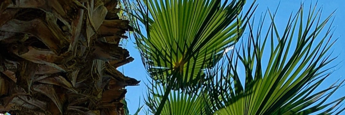 Julito banner
