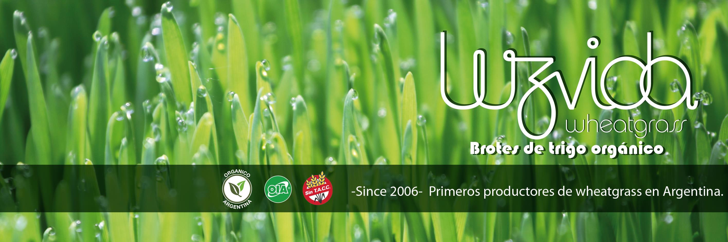 LUZVIDA banner
