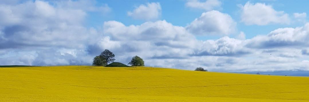 Green Minded🌿's banner