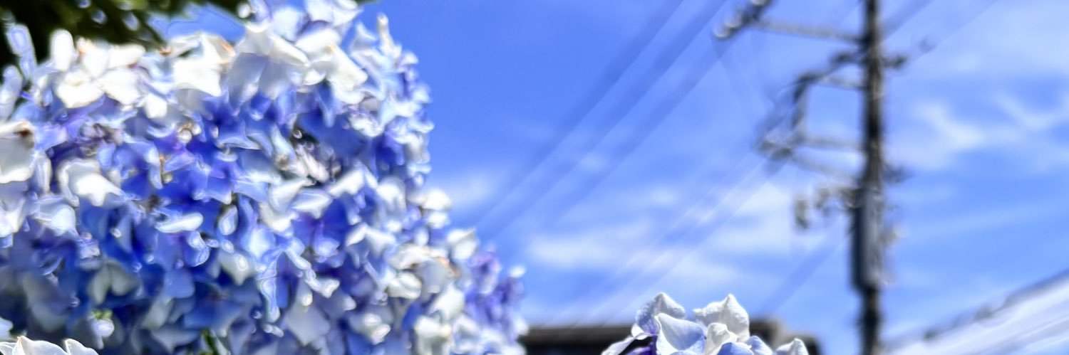 Toro_samon46's profile banner image