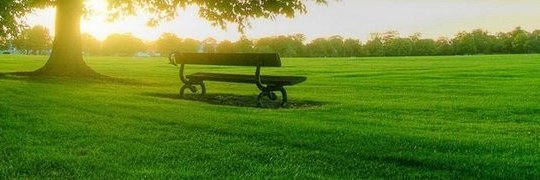 TaherZabiullah's profile banner image