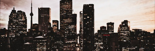 nessaallgdr's profile banner image