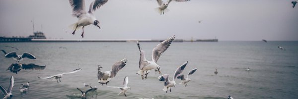 Manfridayy Profile Banner