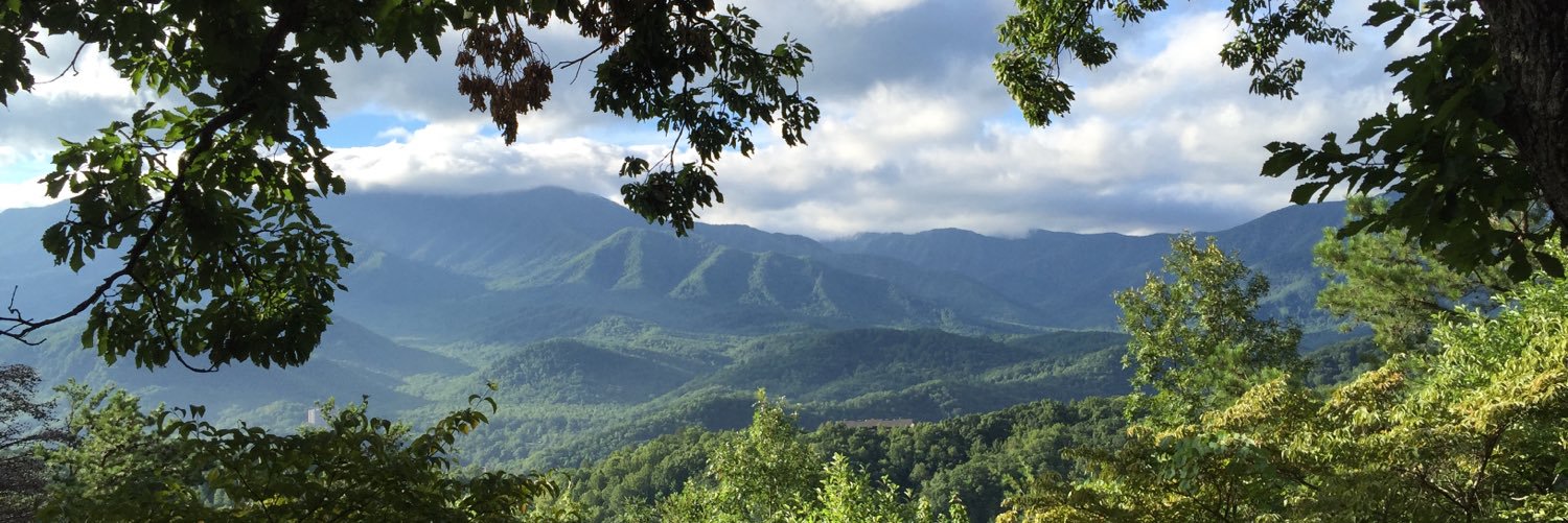 GreerBower's profile banner image