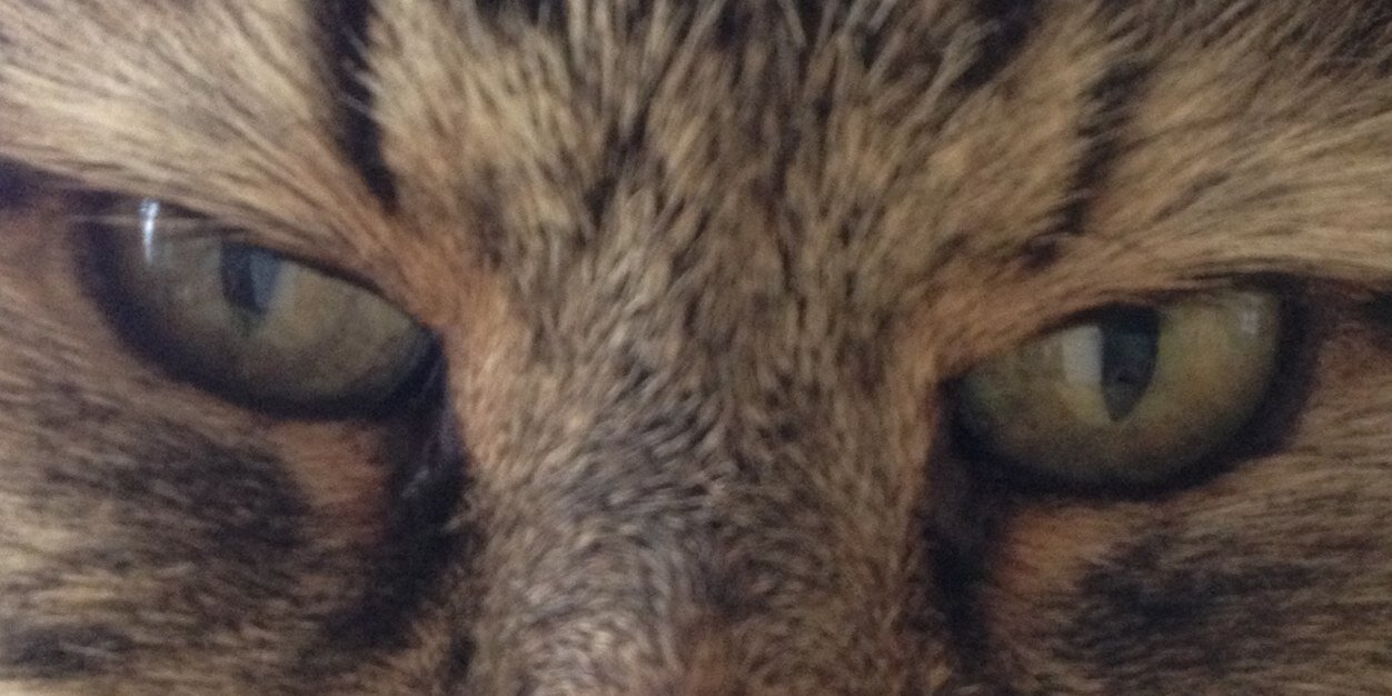 lmdaffern's profile banner image
