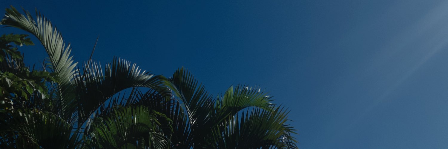 Gabissfelix's profile banner image