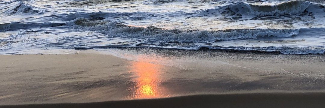 musalouca's profile banner image