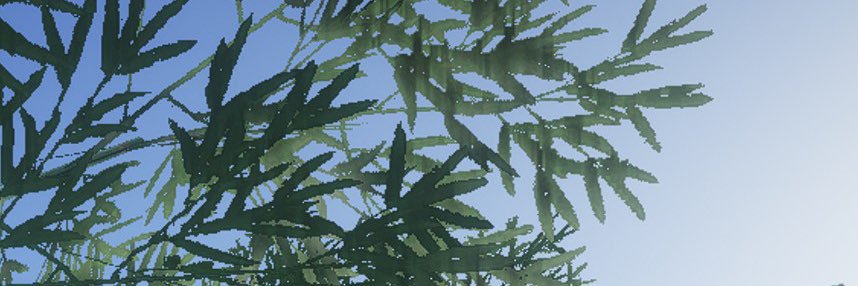 Aurora banner