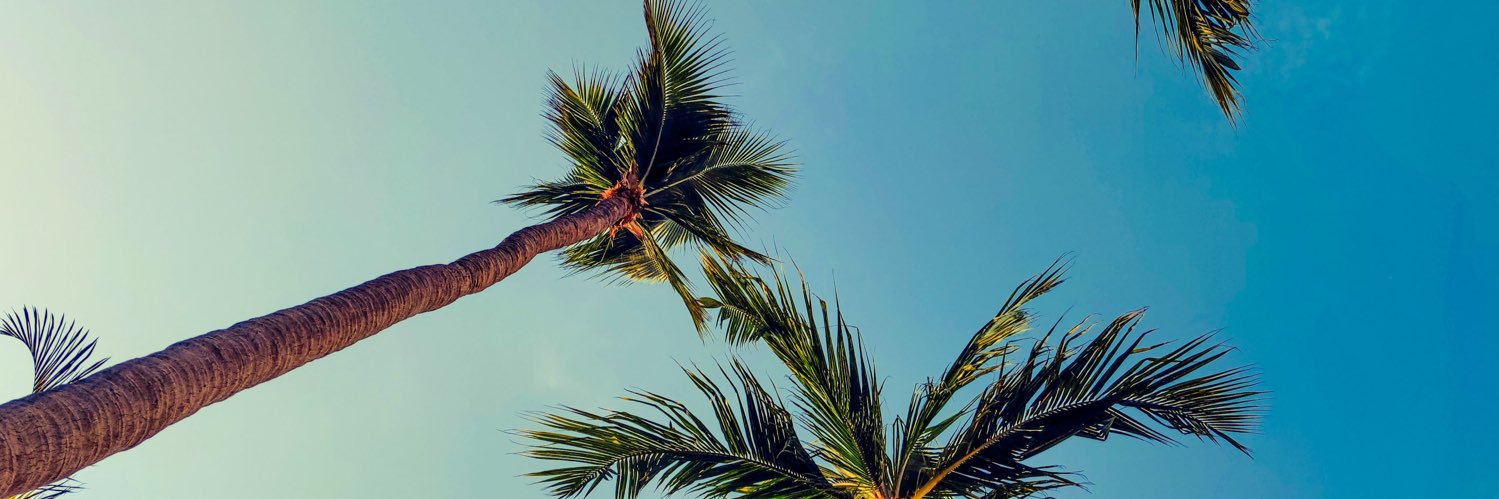 hmaymendes's profile banner image