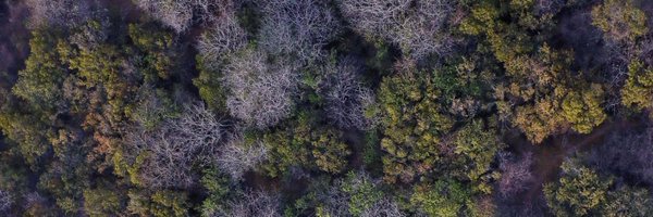 Jeanmariewild Profile Banner