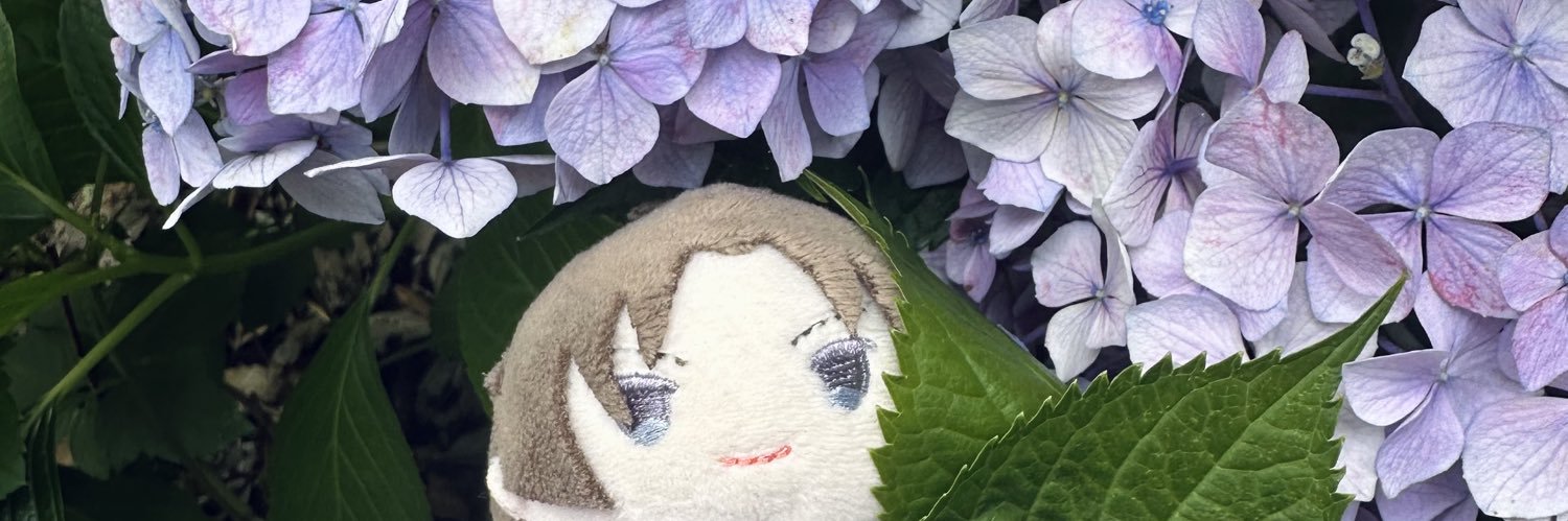 utsuho_rinn's profile banner image