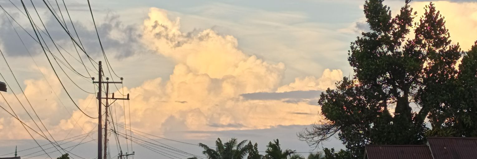 Verthilious's profile banner image