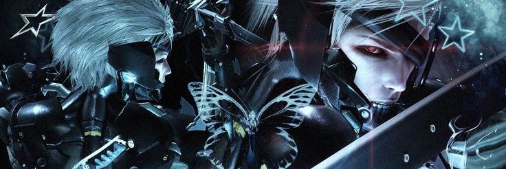 raiden's banner