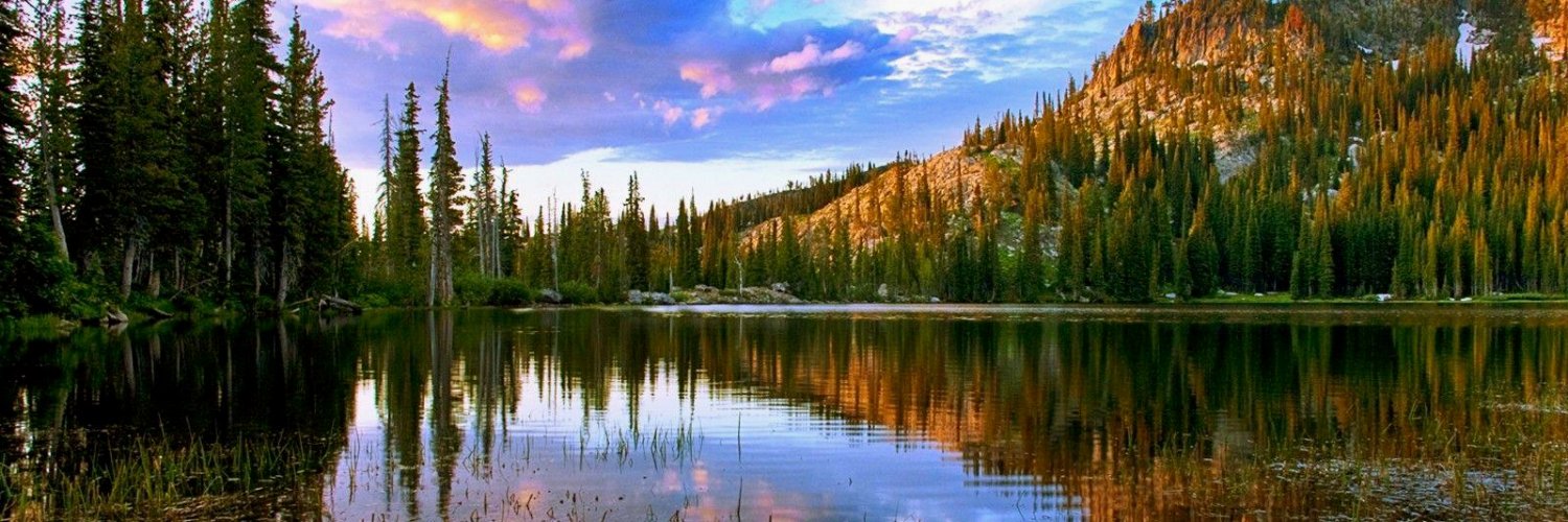 Thomas Stephens banner