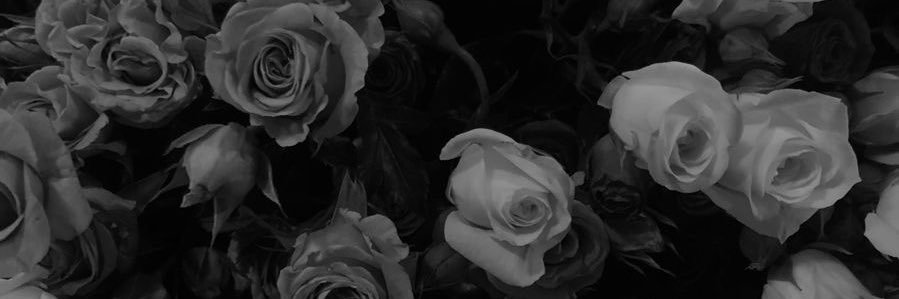 DAY's banner