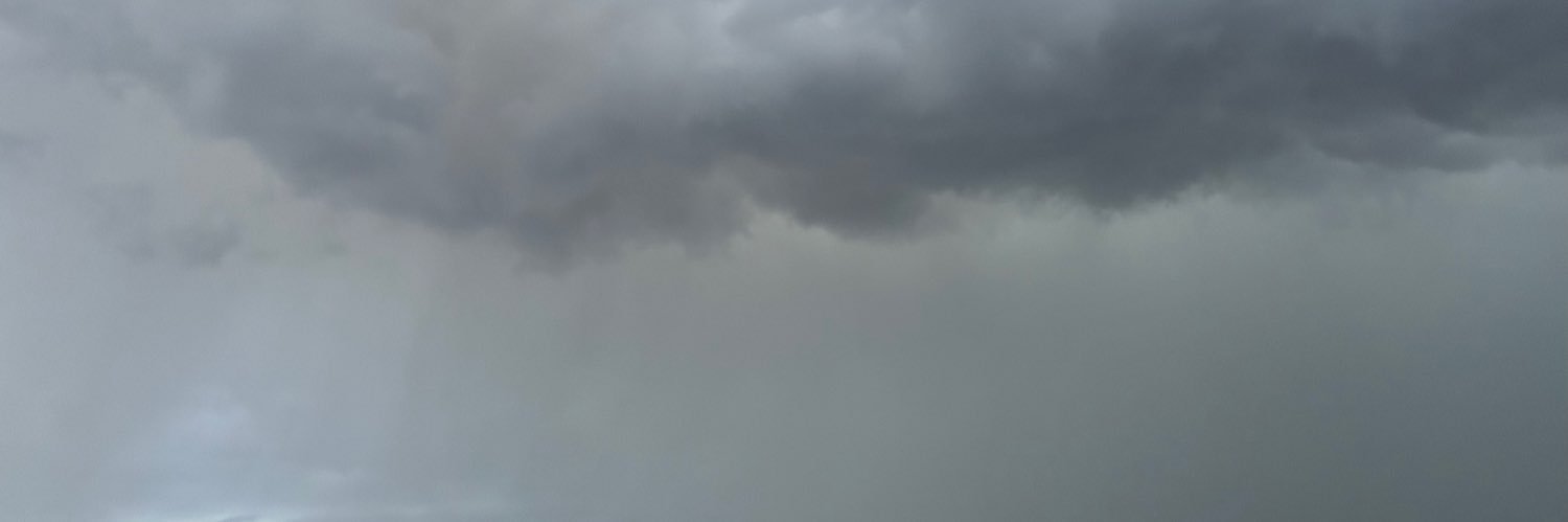 RosaMFJ's profile banner image