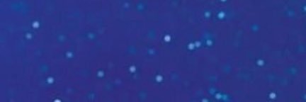 Cryptoqenae's profile banner image