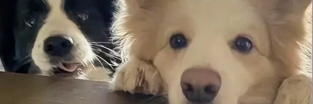 qi85914's profile banner image