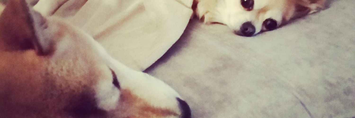 MichaelCypers's profile banner image
