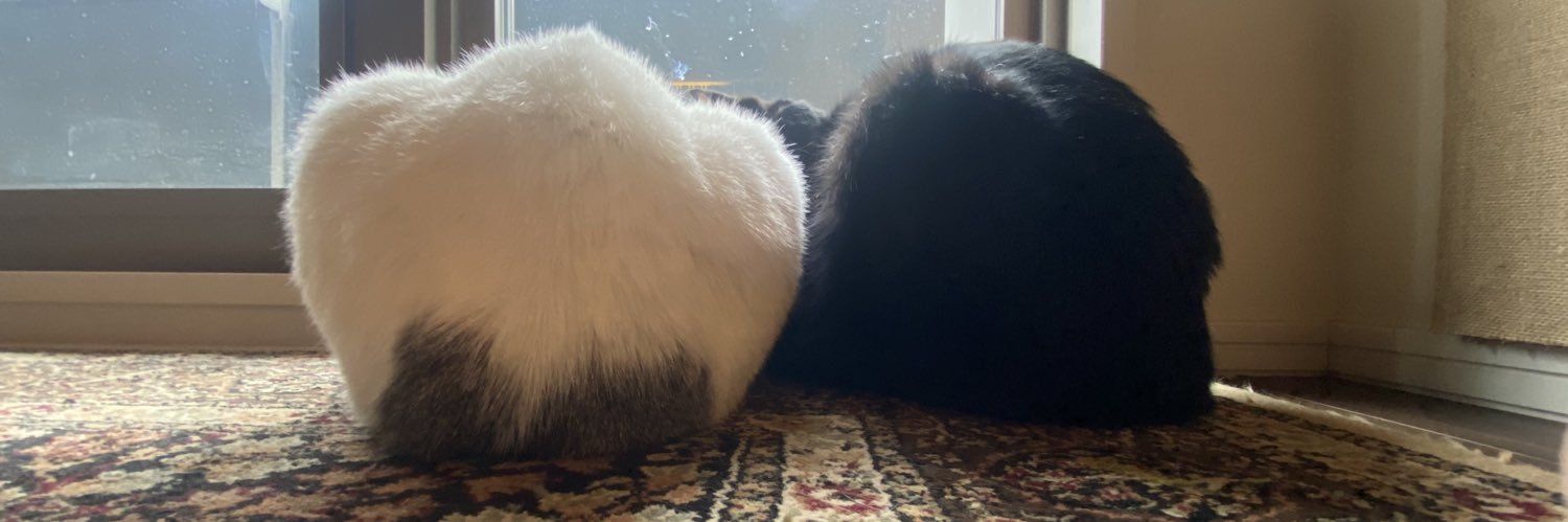 肉まんおいしい🐰's banner