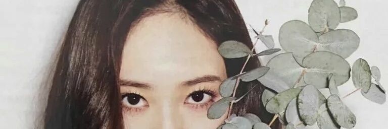 teahphi's profile banner image