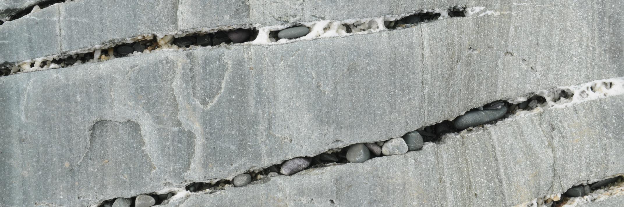 Sarah Fraleigh banner