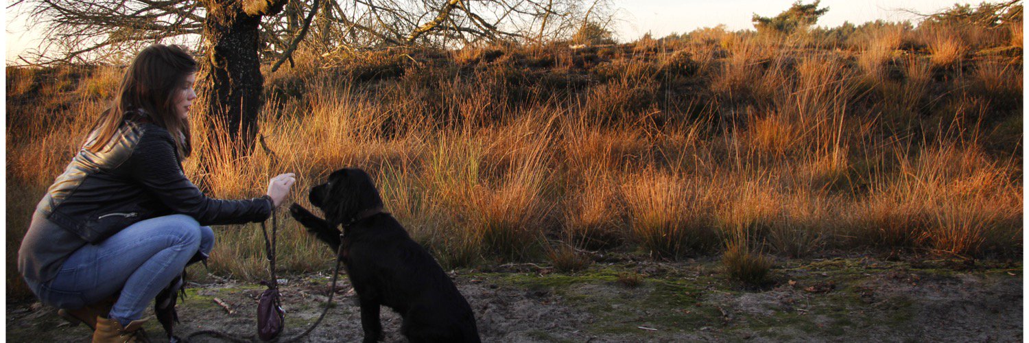 Lianacooper's profile banner image