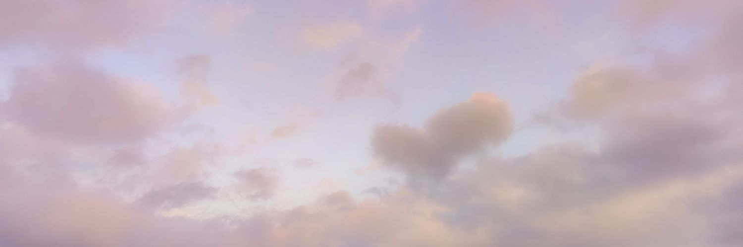 zehrawberry's profile banner image