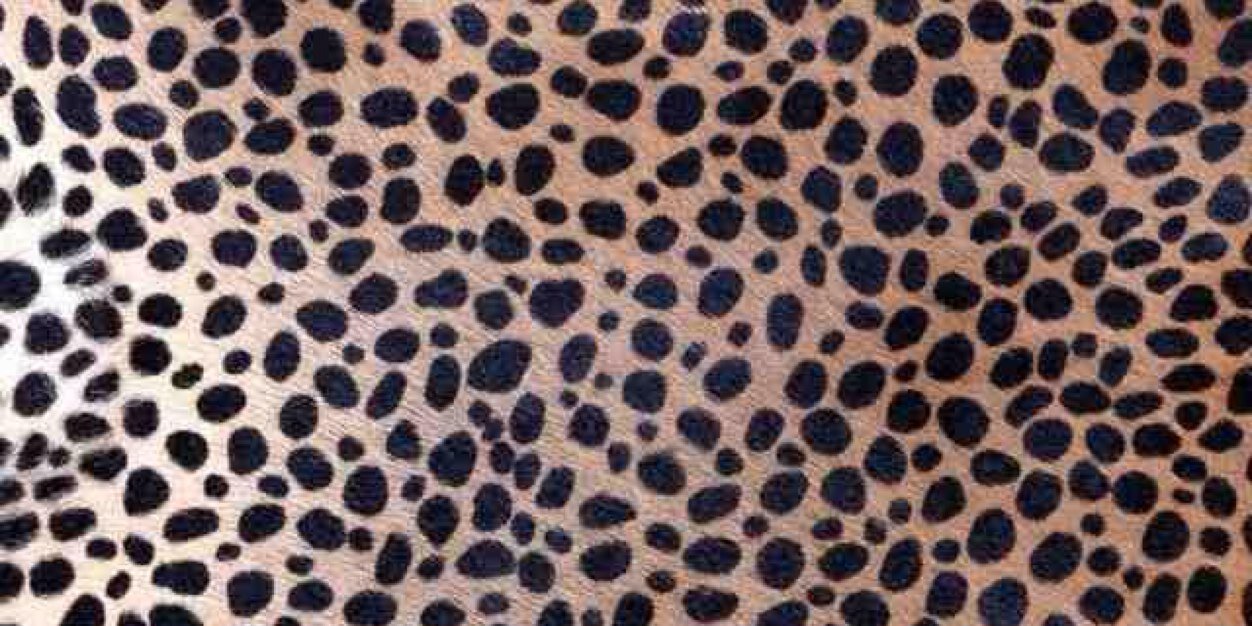 _lynsey_c's profile banner image