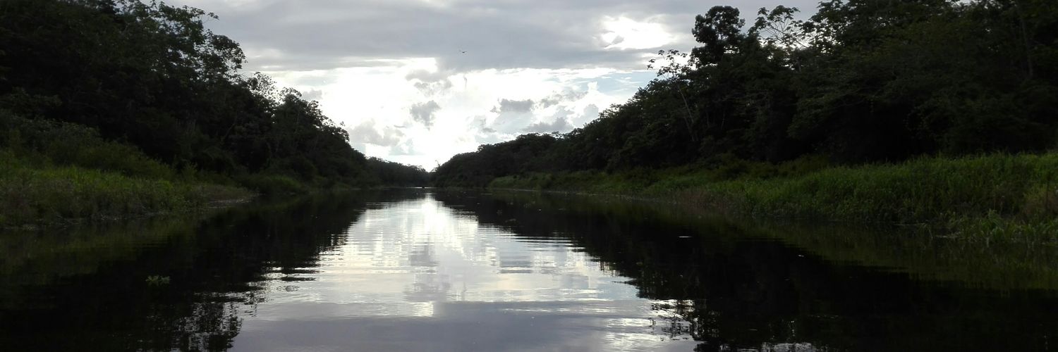 natoosorio's profile banner image