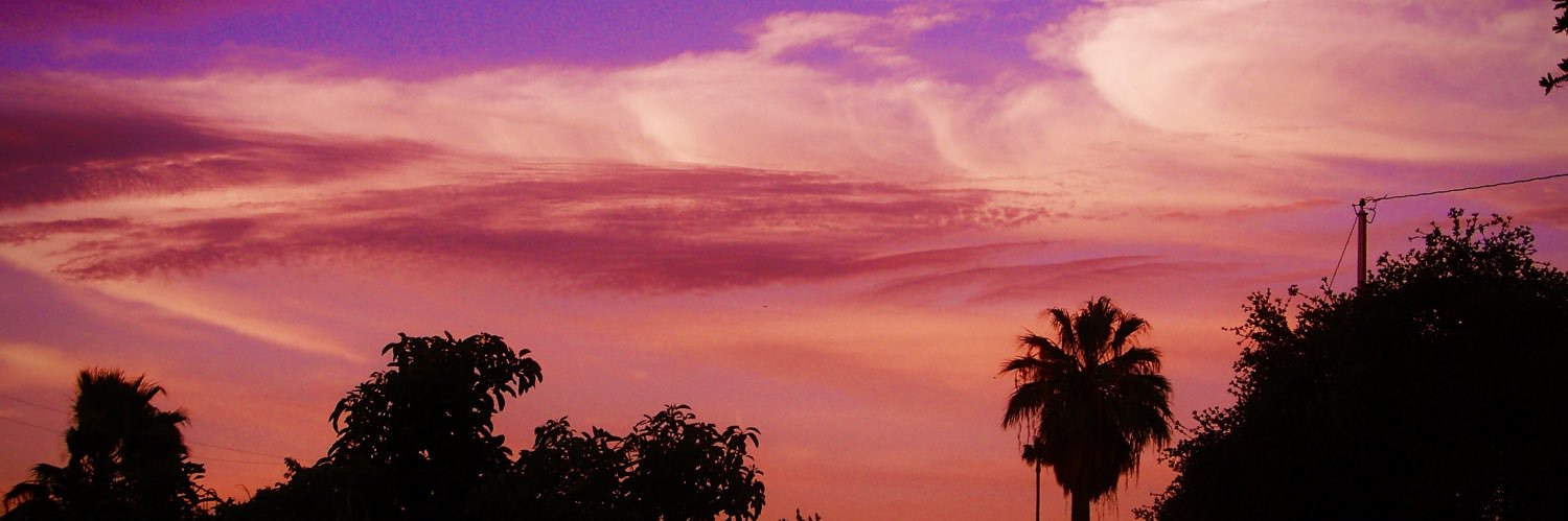 aiccarox's profile banner image