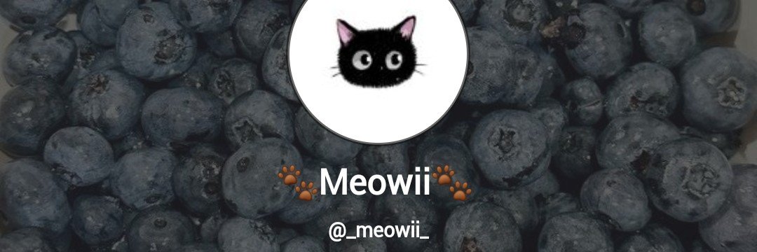 meowii_'s profile banner image