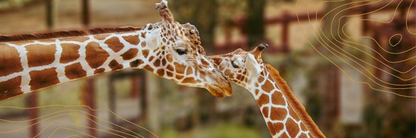 blankparkzoo Profile Banner