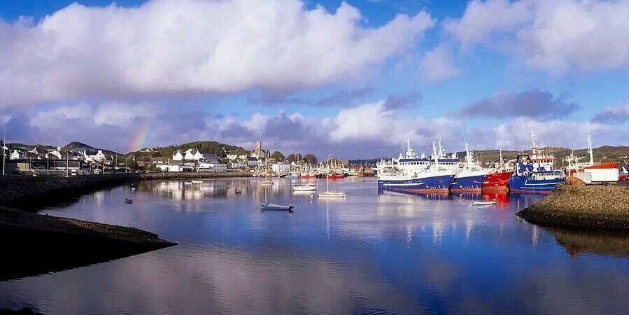 Bríd O'Rourke banner