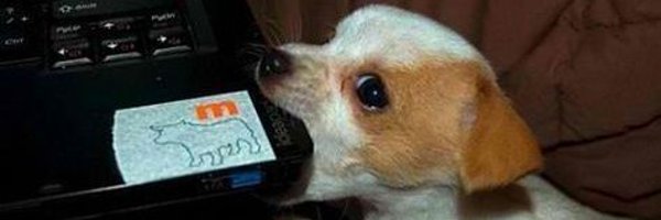 l0ckypup Profile Banner