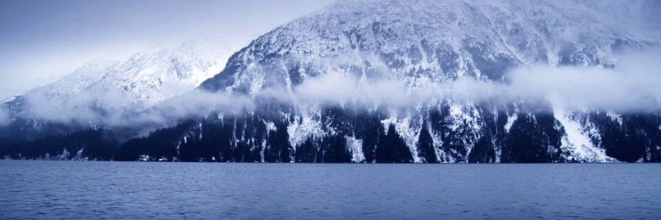 Smoking Dogs Films banner