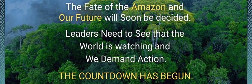 Amazonia Calling banner